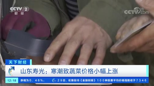 [天下财经]山东寿光:寒潮致蔬菜价格小幅上涨CCTV节目官网CCTV2央视网(cctv.com)