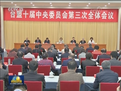 台盟十届三中全会在京召开