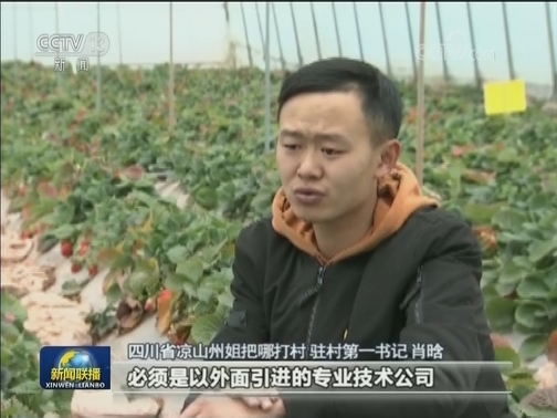 【我们的2019】“娃娃书记”肖晗：奋斗的青春在扶贫