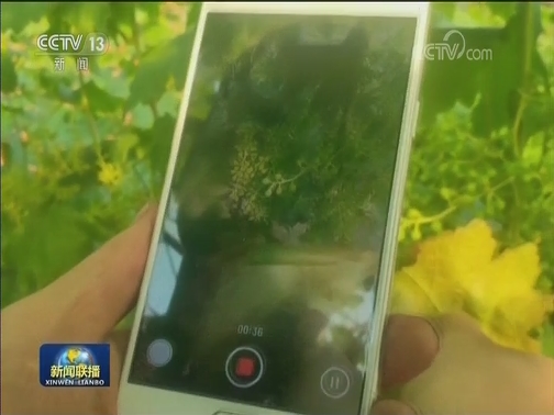 智能经济按下“快进键”
