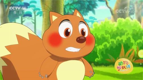 [动物好伙伴]动物全明星:动物大问答