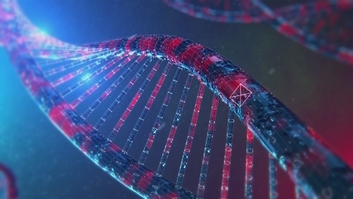 [科幻地带]《未来世界2》导视