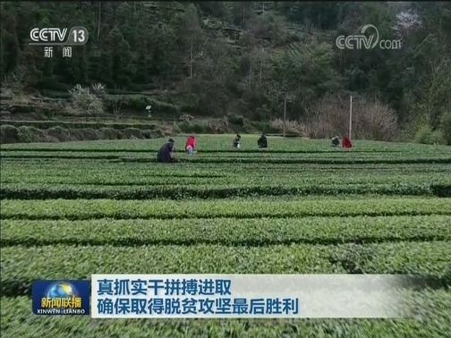 真抓实干拼搏进取 确保取得脱贫攻坚最后胜利