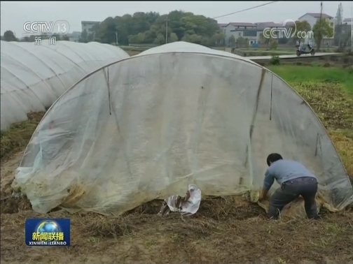 克服疫情影响 坚决完成脱贫攻坚目标任务