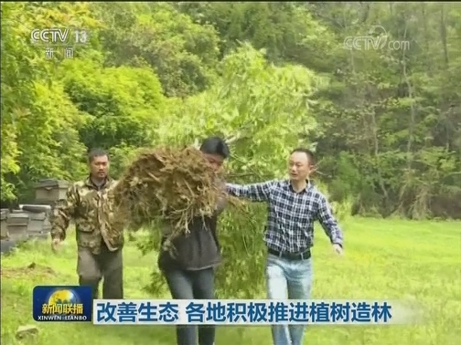 改善生态 各地积极推进植树造林