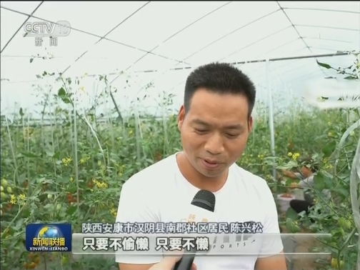 陕西：让易地扶贫搬迁群众乐业安居