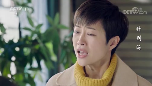 《什刹海》金颜来看望凤儿 替庄志斌向她赔礼道歉