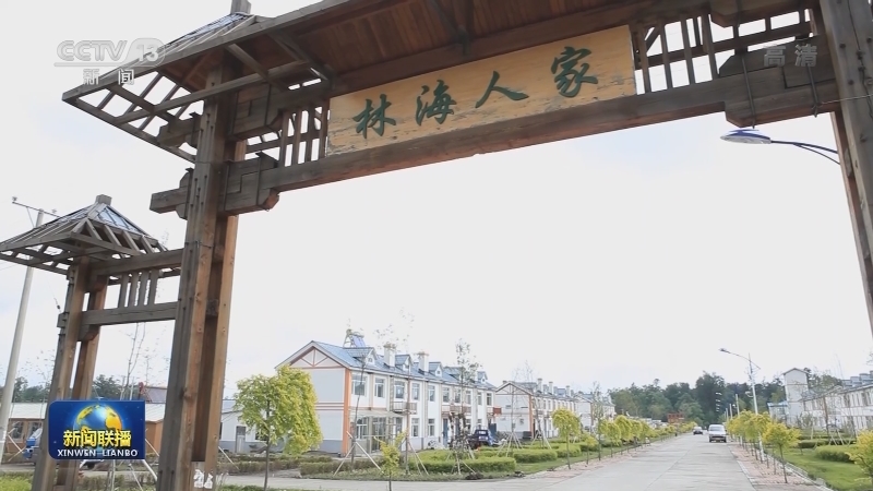 【走向我们的小康生活】老林场焕发新生机