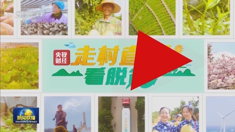 国内联播快讯