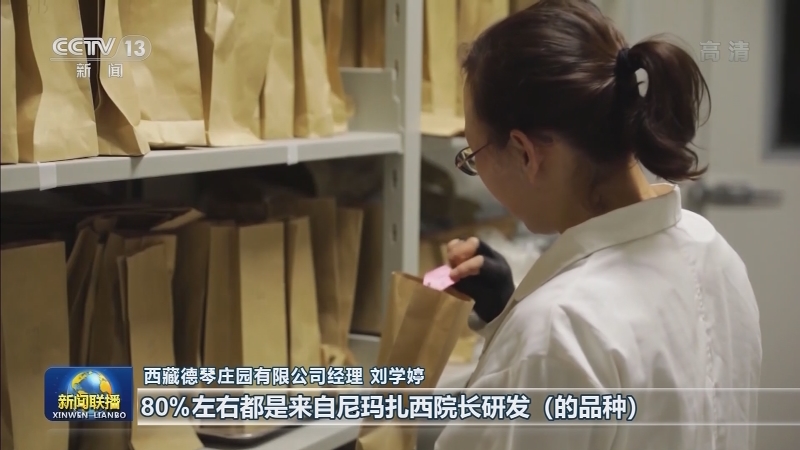 尼玛扎西：躬耕高原 把论文写在大地上