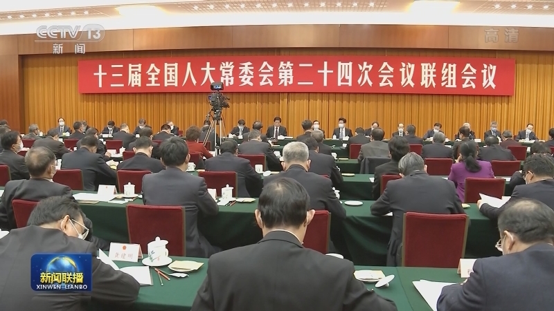 视频十三届全国人大常委会第二十四次会议举行联组会议