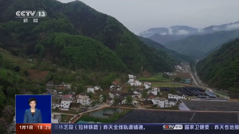 共同关注 说出你的新年愿望 陕西柞水小岭镇金米村 木耳大棚 种 出新希望