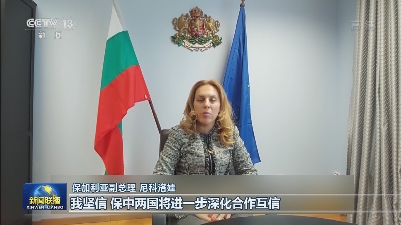 我驻多国使领馆举办贺新春活动