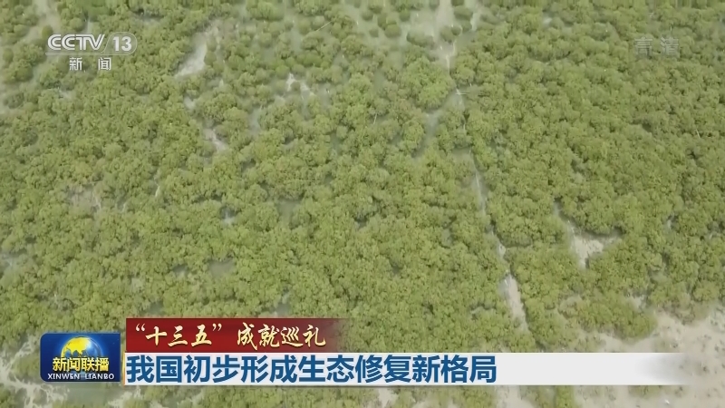 【“十三五”成就巡礼】我国初步形成生态修复新格局