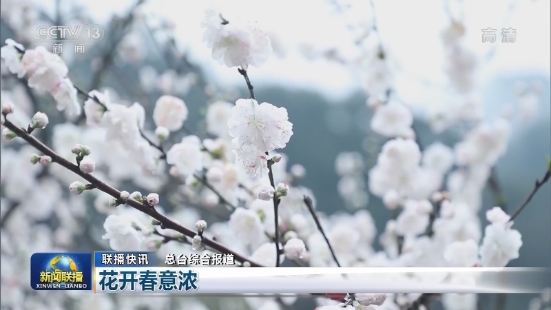 国内联播快讯