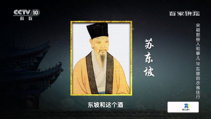 百家讲坛 宋朝那些人和事儿12 东坡的衣食住行苏东坡 兼职 泥瓦工