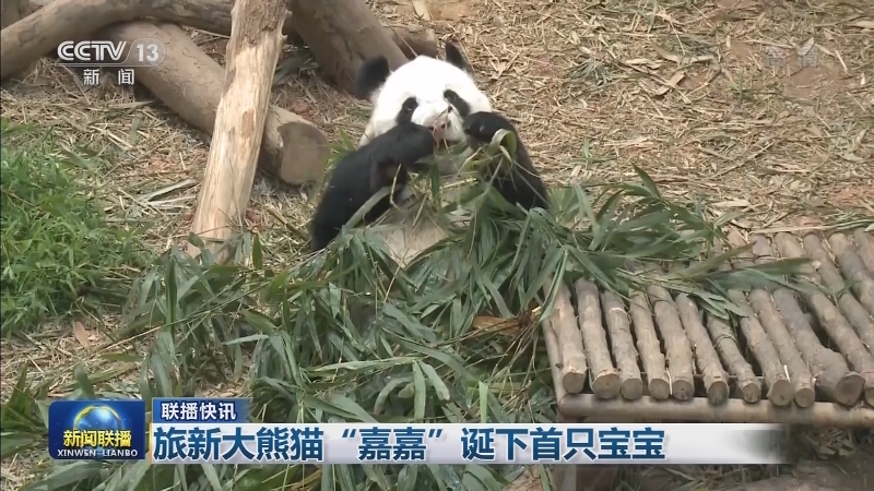 国际联播快讯