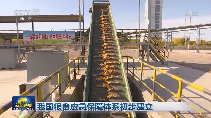 我国粮食应急保障体系初步建立