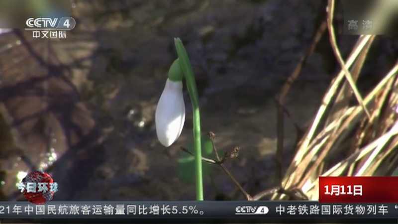 今日环球 22年1月11日天气预报