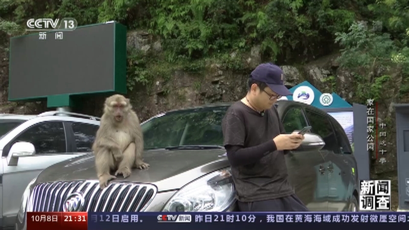 《新闻调查》 20221008 中国这十年 家在国家公园