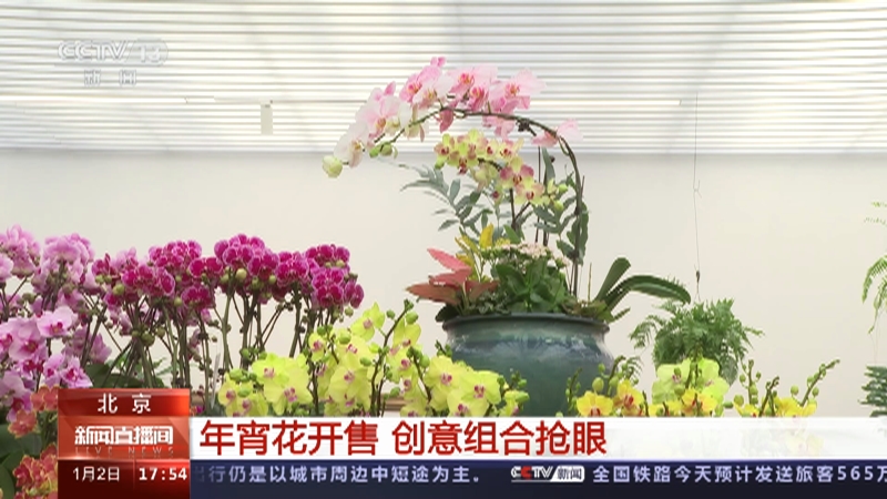 [新闻直播间]北京 年宵花开售 创意组合抢眼