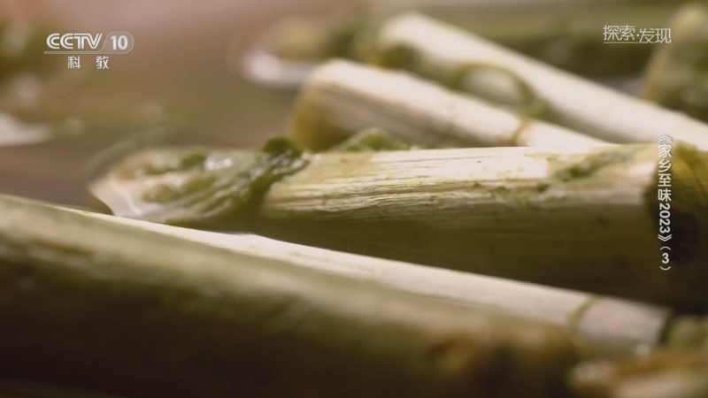 [探索·发现]霉苋菜梗是老一辈绍兴人的下饭利器