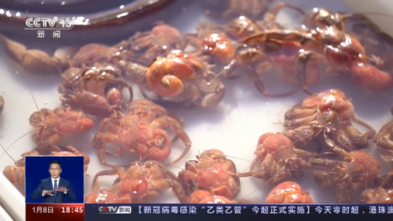 [共同关注]烟火升腾人间安暖 张灯结彩年味渐浓·山东威海 张村大集蜿蜒百米 吆喝声中品年俗