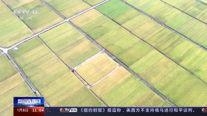 [新闻直播间]稳经济 促发展 强信心·权威访谈 促消费扩投资 有力促进国内大循环