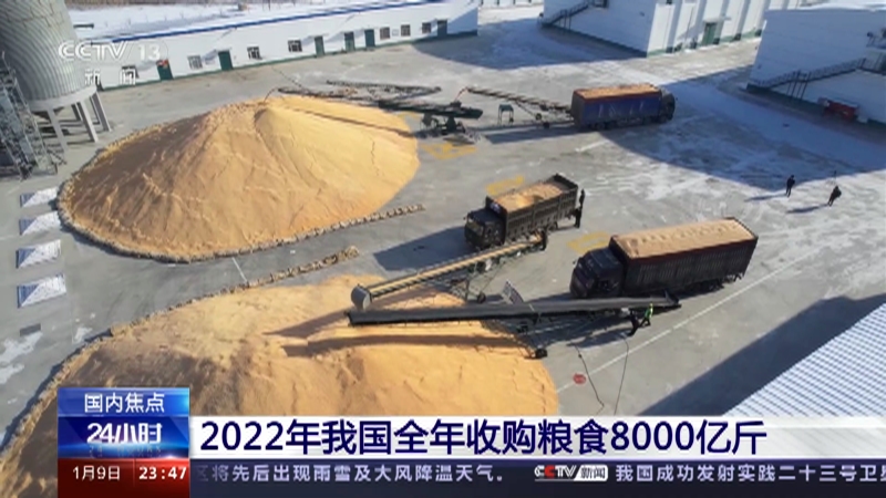 [24小时]2022年我国全年收购粮食8000亿斤