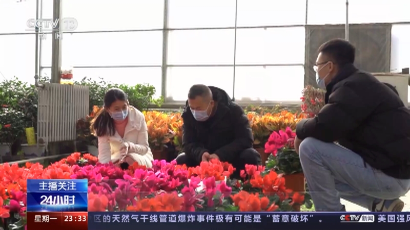 [24小时]春节临近 年味渐浓·山西 花灯走俏迎新春 花卉市场年味浓