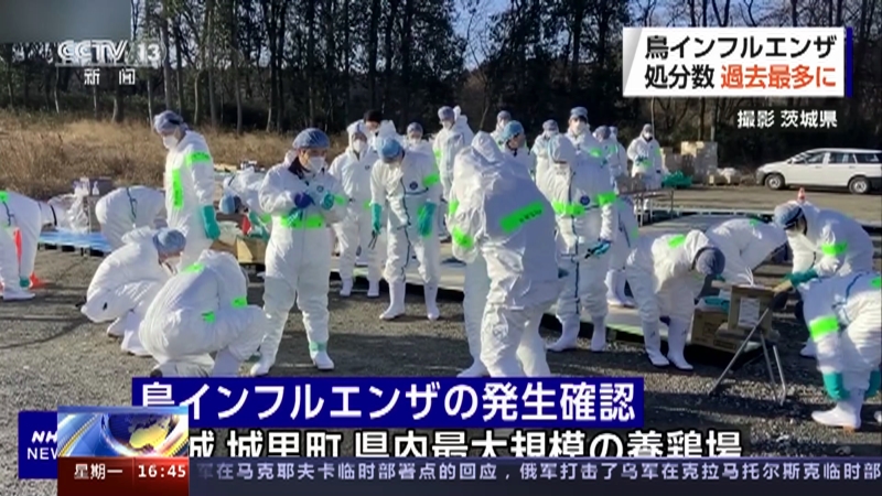 [新闻直播间]日本 禽流感疫情 感染规模和扑杀处理禽类数量达新高