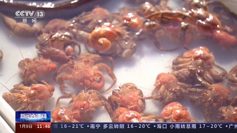 [新闻直播间]烟火升腾人间安暖 张灯结彩年味渐浓·山东威海 张村大集蜿蜒百米 吆喝声中品年俗