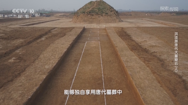 [探索·发现]M3001墓葬围沟竟有150米长 是洪渎原上的唐代墓葬中规模最大
