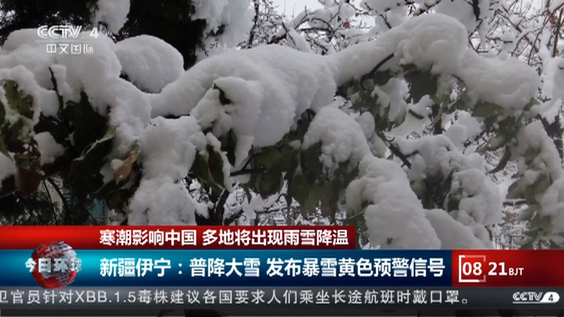 [今日环球]寒潮影响中国 多地将出现雨雪降温