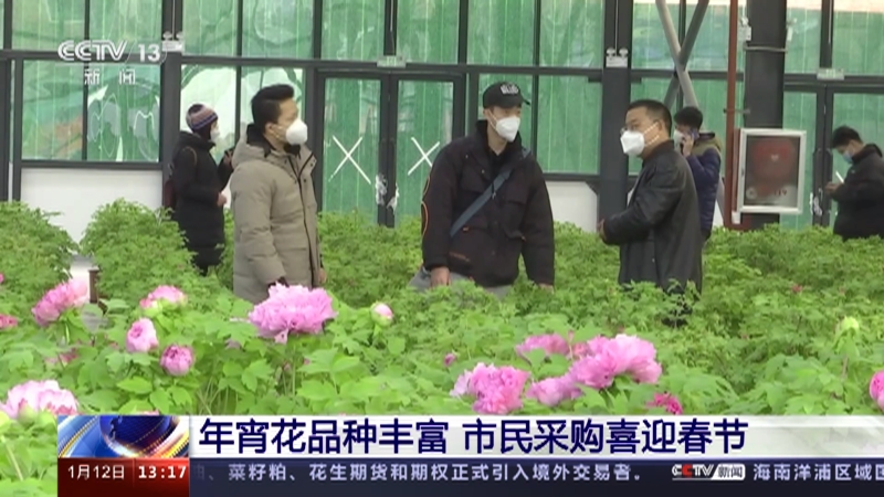 《新闻直播间》 20230112 13:00