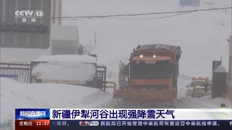[新闻直播间]新疆伊犁河谷出现强降雪天气