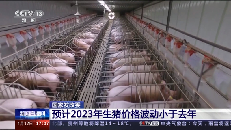 [新闻直播间]国家发改委 预计2023年生猪价格波动小于去年
