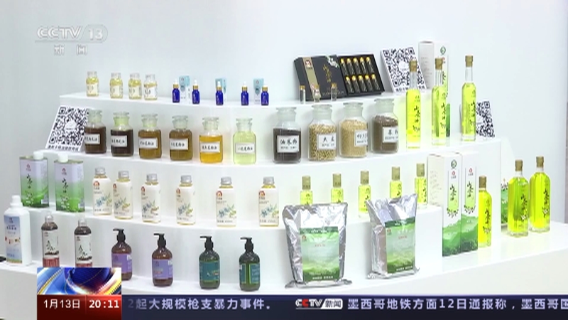[东方时空]中国经济新活力·首破40万亿！我国进出口总值创历史新高 自贸试验区助力我国高水平对外开放