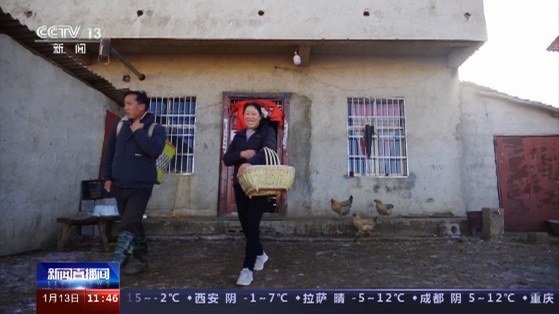 [新闻直播间]云南 大山包黑颈鹤国家级自然保护区 代代传承 守护“高原精灵”