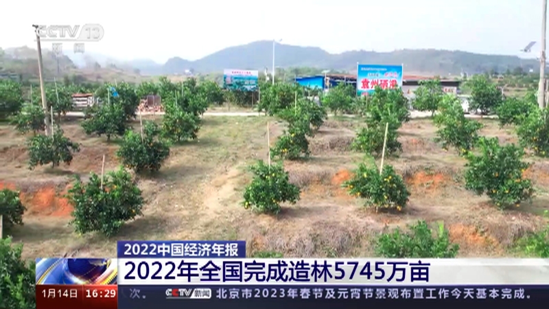 [新闻直播间]2022中国经济年报 2022年全国完成造林5745万亩