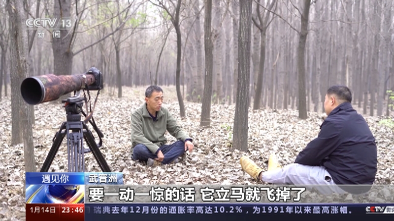 [24小时]遇见你 武晋洲：镜头后的鸟类守护者 投身公益保护自然 付出不求回报