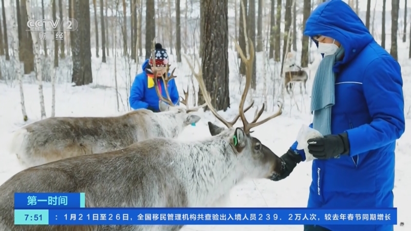 [第一时间]“滑雪+”模式受青睐 小众项目成新宠