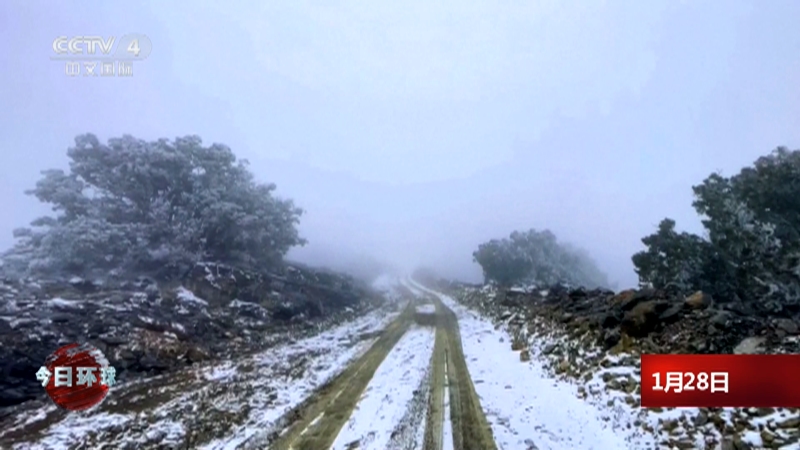 [今日环球]阿曼出现罕见大范围降雪