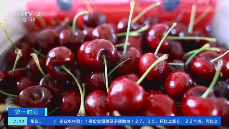 [第一时间]广东深圳：进口水果通关加速 智利车厘子“抢鲜”入市