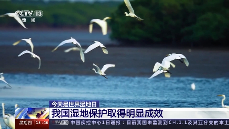 [新闻直播间]今天是世界湿地日 我国湿地保护取得明显成效