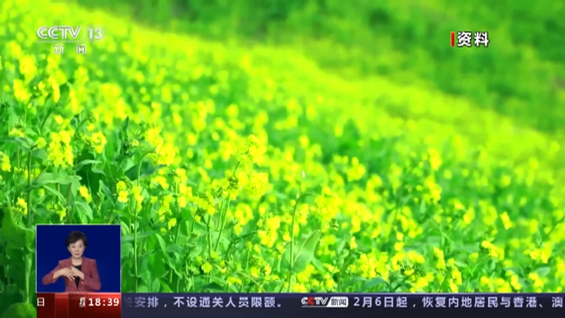 《共同关注》 20230203