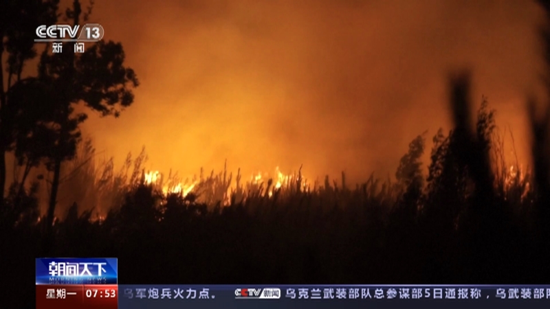 [朝闻天下]智利森林火灾死亡人数升至24人