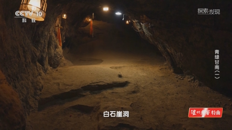 [探索·发现]一次石破天惊的考古发现 将甘南白石崖洞推向世界学术前沿