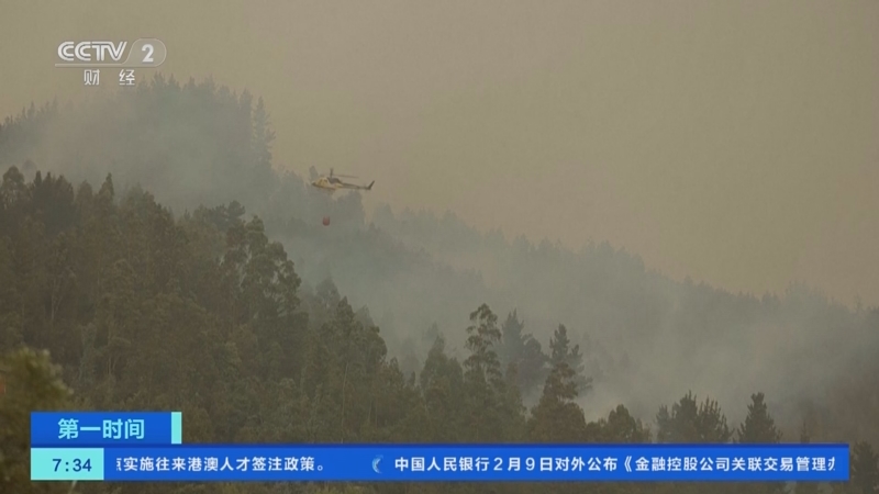 [第一时间]智利：林火持续肆虐 过火面积近30万公顷