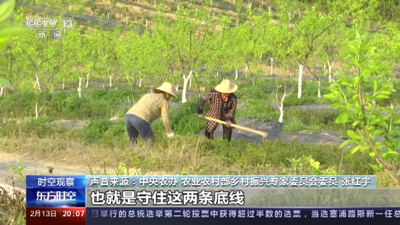 [东方时空]2023年中央一号文件发布 从关键词看新任务·农业强国 建设农业强国 作出哪些部署？